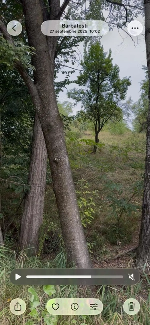 Teren extravilan comuna Barbatesti, Valcea, PARC NATIONAL!!! - imagine 7