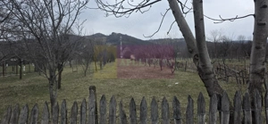 Teren 734 mp intravilan de vanzare in Brebu - imagine 8