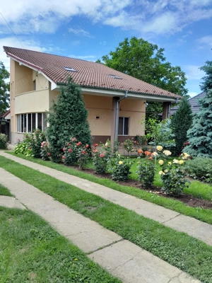  Casă spațioasă de vânzare în Milcov Deal   liniște, natură și confort, la doar 3 km de Slatina!  - imagine 5