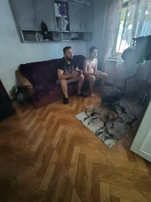 vand Suzuki  - imagine 3