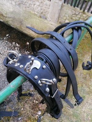 Hamuri caii trapasi.  - imagine 2