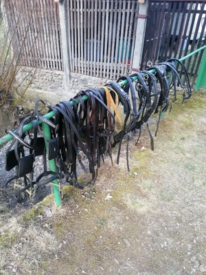 Hamuri caii trapasi.  - imagine 4