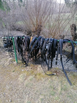 Hamuri caii trapasi.  - imagine 5