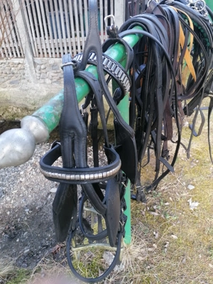 Hamuri caii trapasi.  - imagine 3