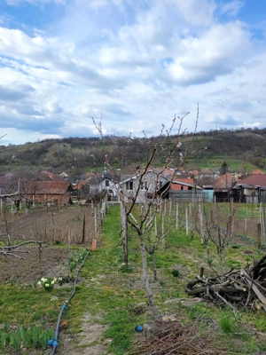Casă de vânzare   Zonă centrală, Cehu Silvaniei  - imagine 8