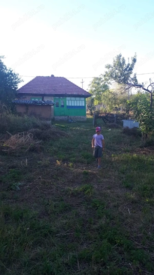SUPER OFERTĂ: 5000 mp ,gaze,canalizare, curent loc Poiana Mărului com. Ceplenita jud Iași , Hârlău - imagine 3
