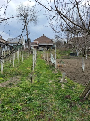 Casă de vânzare   Zonă centrală, Cehu Silvaniei  - imagine 7