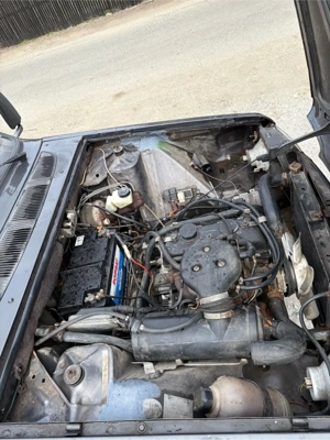 Dacia papuc  - imagine 5