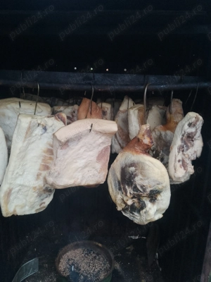 Porci vietnamezi &slănină afumată  - imagine 3