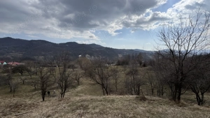 Teren intravilan + extravilan 9844 mp, Malu cu Flori, jud Dâmbovița