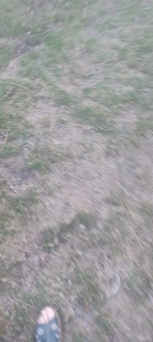 vind audi A A4 benzina - imagine 4