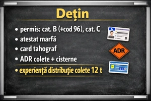 Caut loc de muncă șofer intern, tur-retur sau internațional 