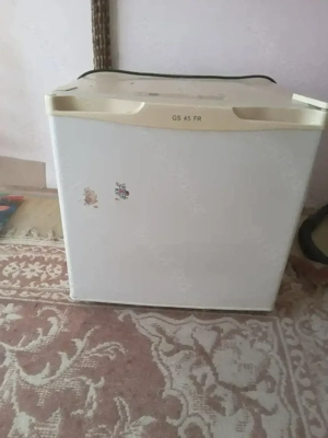 mini congelator putin folosit 