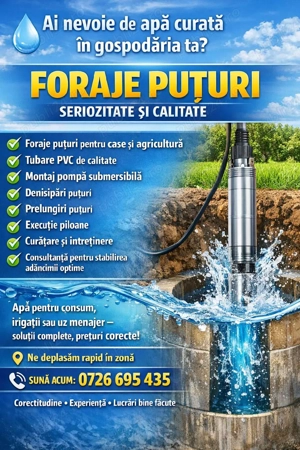 Foraje puțuri 
