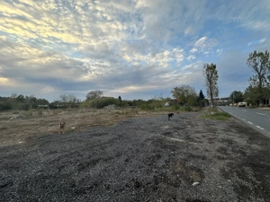 Vand teren comuna Ganeasa Ilfov - imagine 3