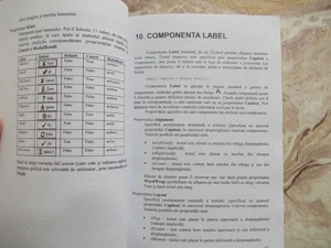 Carte programare Delphi 3.0 - imagine 4