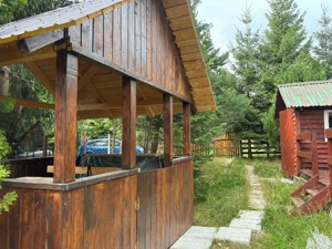 Vand cabana , Marisel, zona Copcea - imagine 9