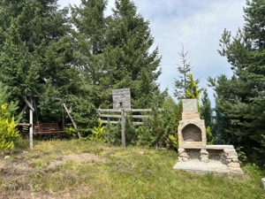 Vand cabana , Marisel, zona Copcea - imagine 10