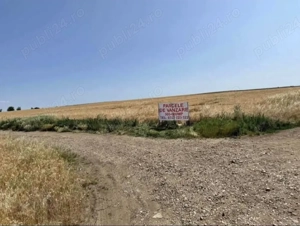   Ultima parcela intravilan  1000mp Giarmata Timis toate utilitatiile!   55 mp Ideala investitie!