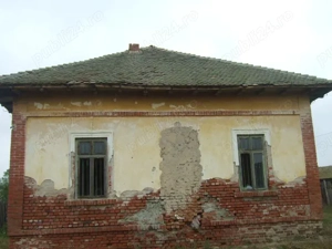 Vand teren 6098m2 cu casa veche salcuta jud dolj - imagine 3