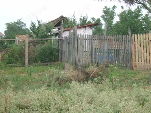 Vand teren 6098m2 cu casa veche salcuta jud dolj - imagine 10