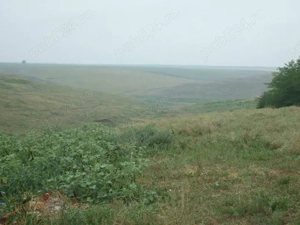 Vand teren 6098m2 cu casa veche salcuta jud dolj - imagine 8