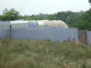 Vand teren 6098m2 cu casa veche salcuta jud dolj - imagine 7