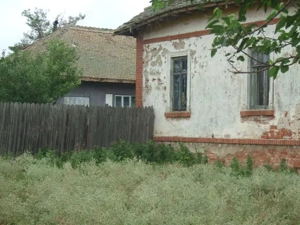 Vand teren 6098m2 cu casa veche salcuta jud dolj - imagine 9