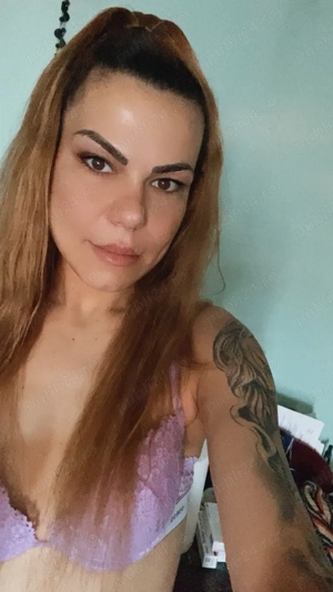 Servicii totale  deplasariii