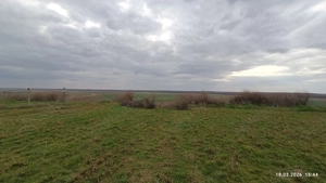 Teren Daeni ,brațul Macin - imagine 3