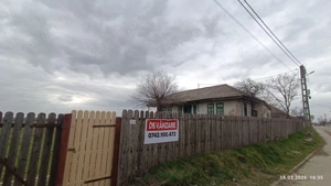 Teren Daeni ,brațul Macin