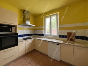 Vila individuala renovata complet | 6 camere | 500 mp teren | Str Jean Monnet - imagine 10