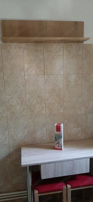 inchiriez  apartament 1 camera - imagine 4