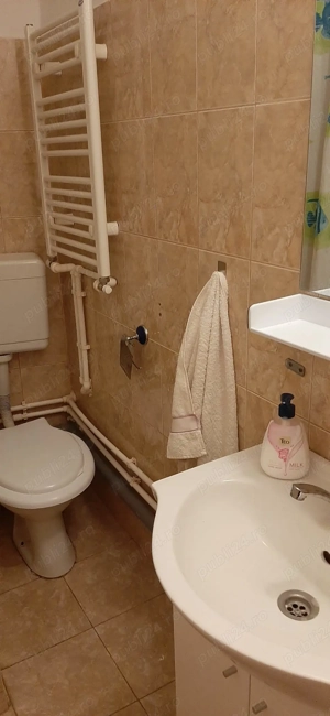 inchiriez  apartament 1 camera - imagine 6