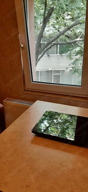 inchiriez  apartament 1 camera - imagine 5