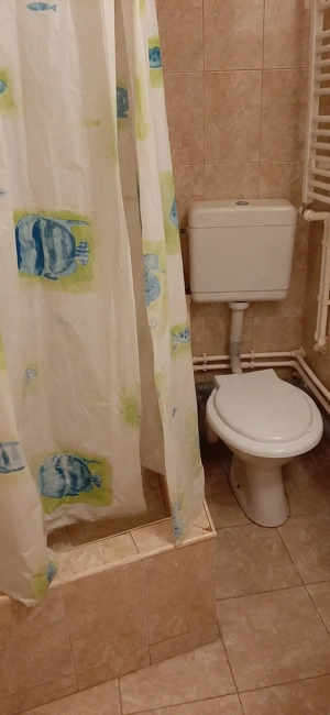 inchiriez  apartament 1 camera - imagine 7