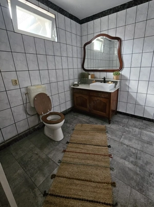 Vand casa cu proiect de permacultura, in Sacosu Turcesc - imagine 4