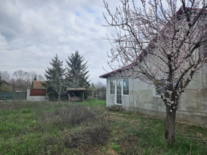 Vand casa cu proiect de permacultura, in Sacosu Turcesc - imagine 9