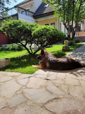 Casa 355 mp si teren 461 mp in zona cetatii Tg.Mures