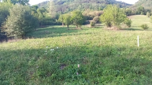 Vand teren intravilan - imagine 2