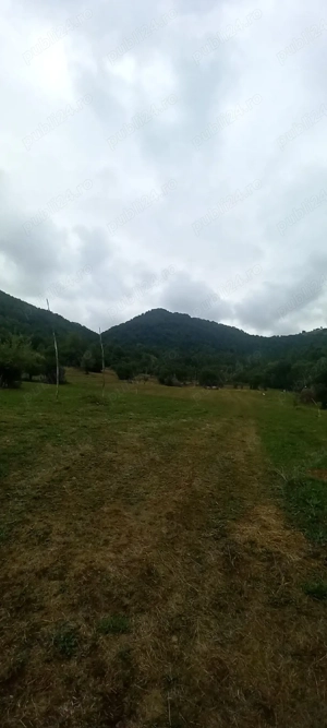 Vand teren intravilan - imagine 3