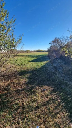 teren 3818 mp, Copacelu