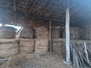 Baloți de vânzare!