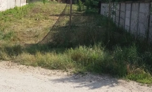 Teren Intravilan Alba Micesti 434 mp d=16,5 m 2 drumuri PUZ Aprobat Utilitatile - imagine 4