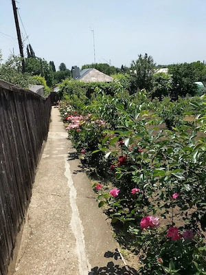 Vand casa Tecuci - imagine 4