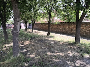 Teren intravilan de vânzare   1.000m  poziție centrală, Jimbolia - imagine 3