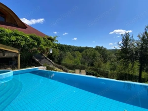 Domeniu exclusivist 17.000 mp | Vilă luxury cu piscină & SPA – Cărbunari - imagine 6