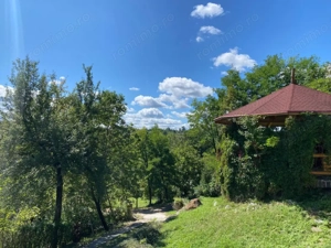 Domeniu exclusivist 17.000 mp | Vilă luxury cu piscină & SPA – Cărbunari - imagine 3