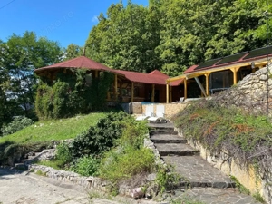 Domeniu exclusivist 17.000 mp | Vilă luxury cu piscină & SPA – Cărbunari - imagine 4