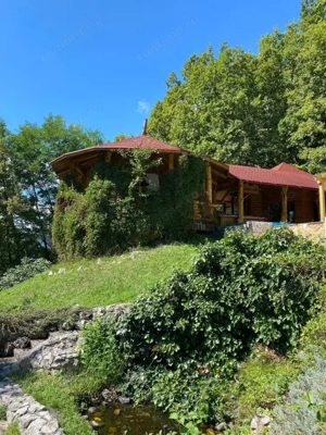 Domeniu exclusivist 17.000 mp | Vilă luxury cu piscină & SPA – Cărbunari - imagine 2
